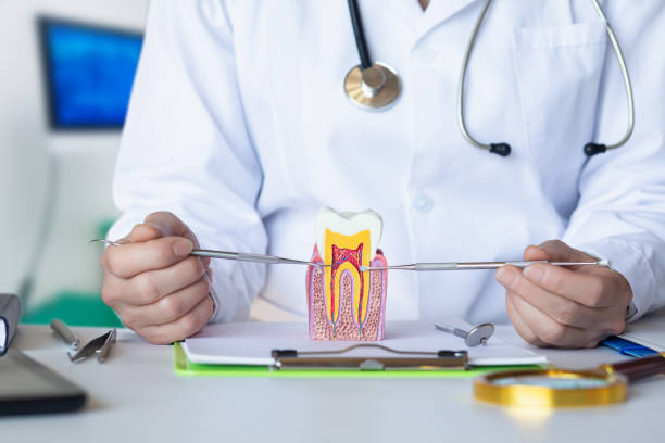 Best Chipped Tooth Repair Near Me  in Lennox, CA